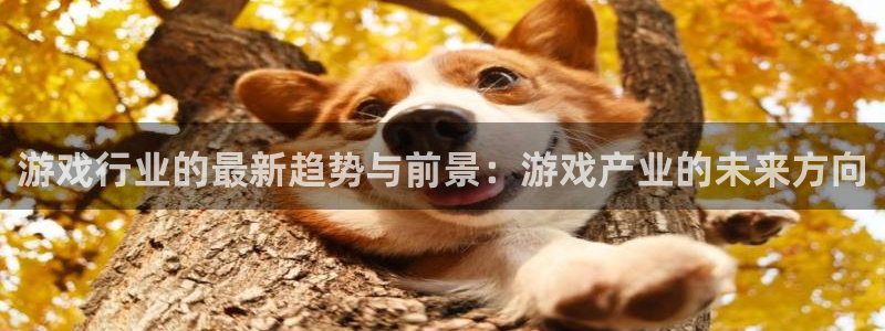 多彩娱乐怎么注册：游戏行业的最新趋势与前景：游戏产业的未来方