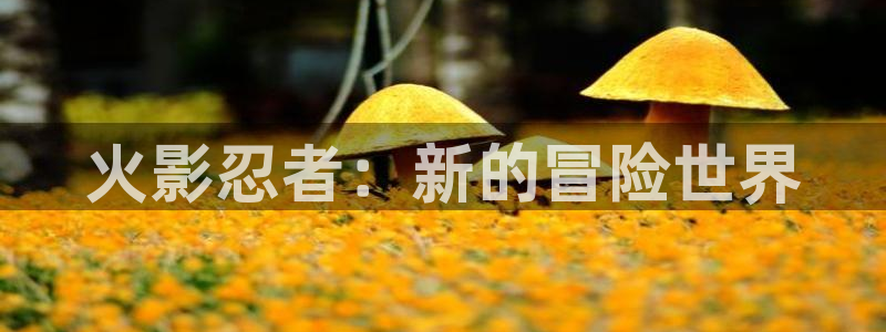 多彩娱乐平台：火影忍者：新的冒险世界
