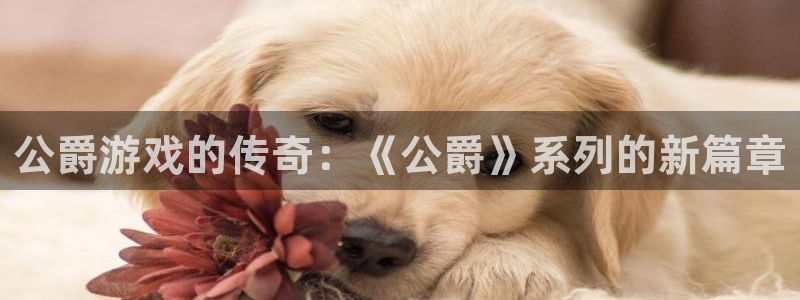 多彩娱乐平台官网客服电话：公爵游戏的传奇：《公爵》系列的新篇