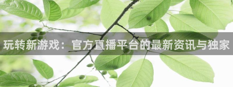 多彩娱乐登录地址：玩转新游戏：官方直播平台的最新资讯与独家