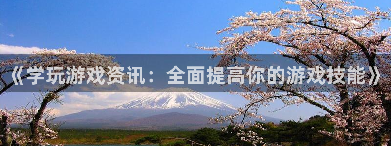 多彩娱乐app下载地址：《学玩游戏资讯：全面提高你的游戏技能