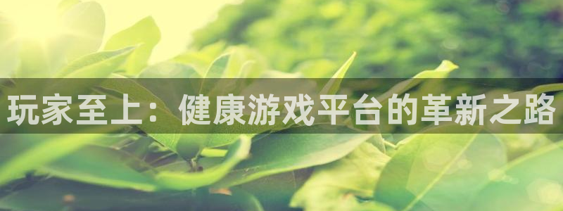 多彩娱乐平台负责人：玩家至上：健康游戏平台的革新之路