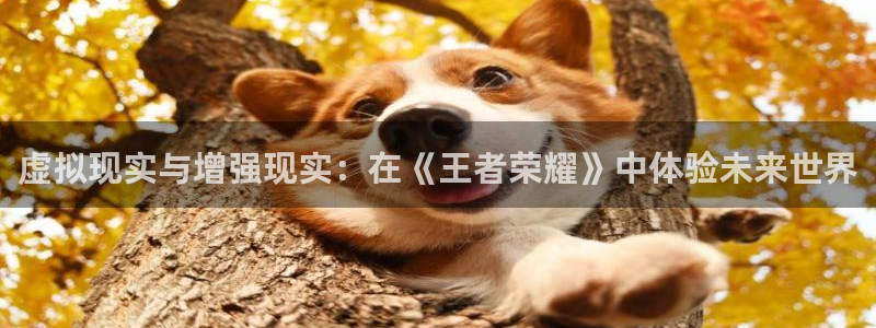 多彩娱乐平台注册资金多少：虚拟现实与增强现实：在《王者荣耀》