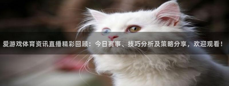 多彩娱乐登陆地址：爱游戏体育资讯直播精彩回顾：今日赛事、技巧