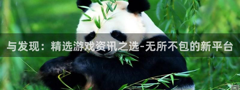 多彩娱乐注册测速：与发现：精选游戏资讯之选-无所不包的新平台