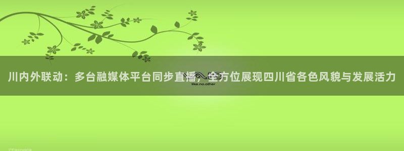 nba直播免费24直播网：川内外联动：多台融媒体平台同步直播，全方位展现四川省各色风貌与发展活力