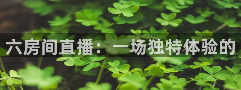 足球直播24直播网：六房间直播：一场独特体验的