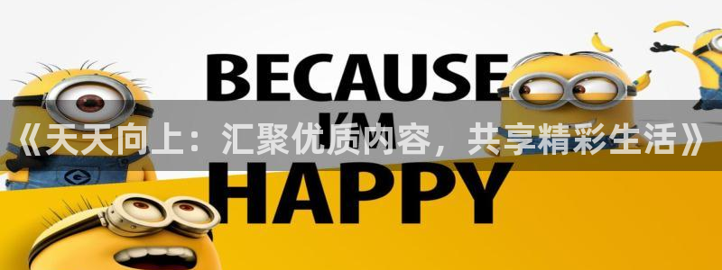 足球高清24直播：《天天向上：汇聚优质内容，共享精彩生活》