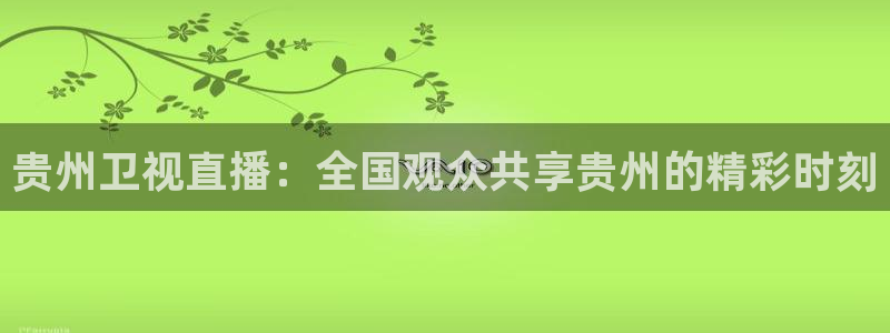 足球24直播免费观看：贵州卫视直播：全国观众共享贵州的精彩时刻