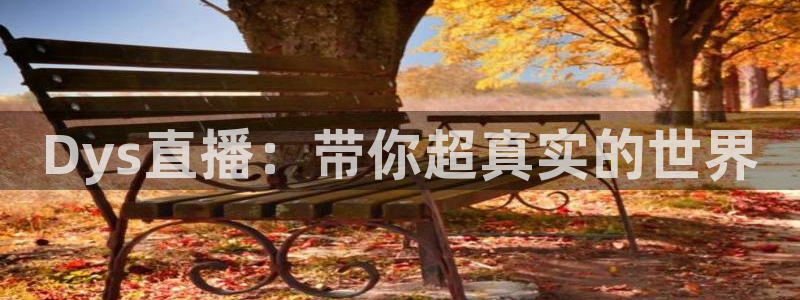 24直播免费篮球直播在线观看：Dys直播：带你超真实的世界