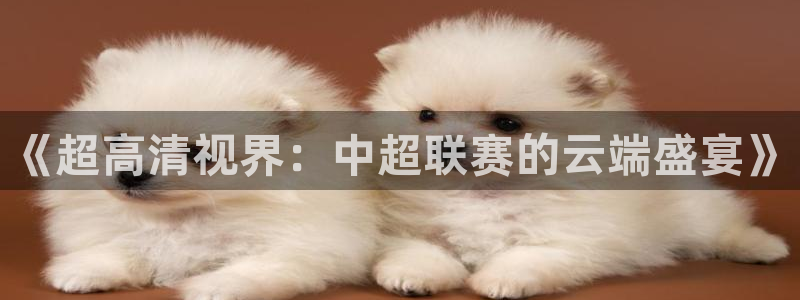 24直播免费足球直播高清：《超高清视界：中超联赛的云端盛宴》