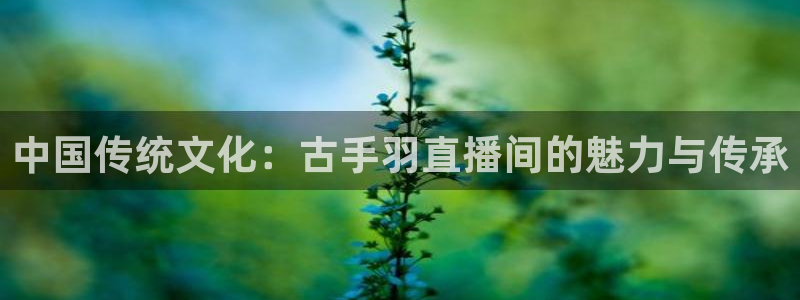24直播体育直播：中国传统文化：古手羽直播间的魅力与传承